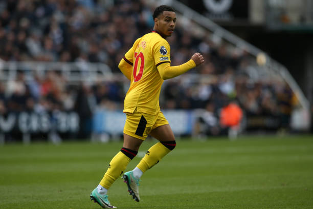 大放异彩 大放异彩